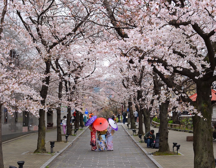 travel family friendly easter destinations Kyoto japan