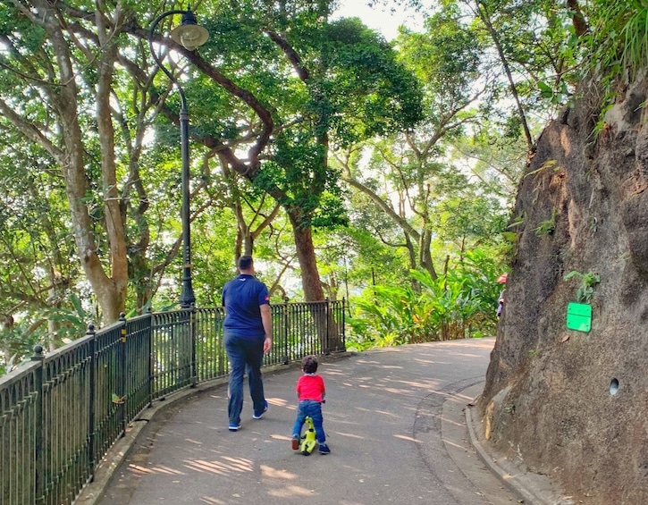 hiking Hong Kong Lugard Road the peak