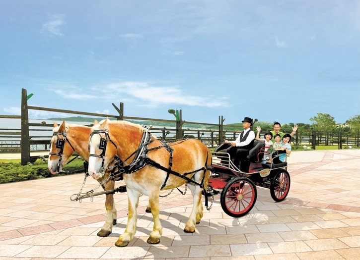 discovery bay horse carriage ride Hong Kong see animals whats on