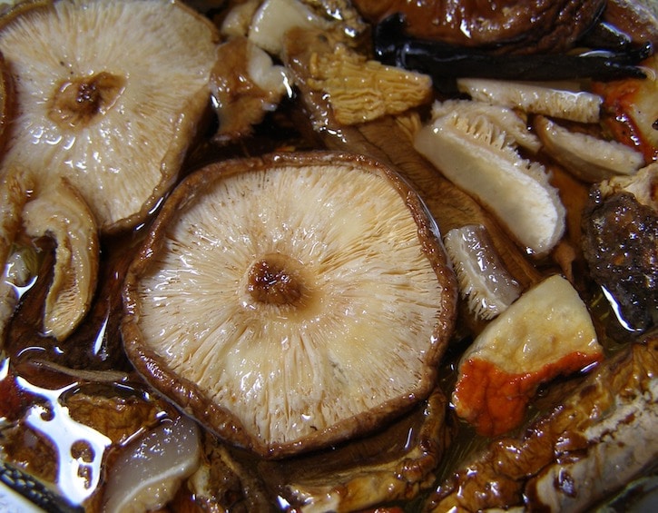 mushrooms superfood immunity boost health wellness pregnancy