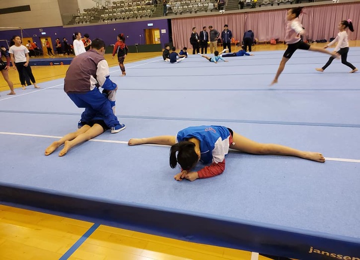 sportscene gymnastics hong kong
