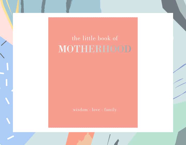 parenting books The Little Book Of Motherhood
