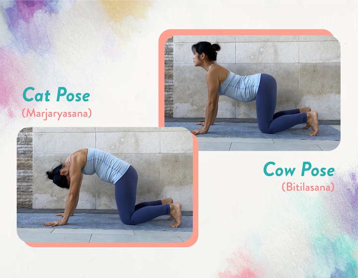 safe prenatal yoga Cat/Cow pose