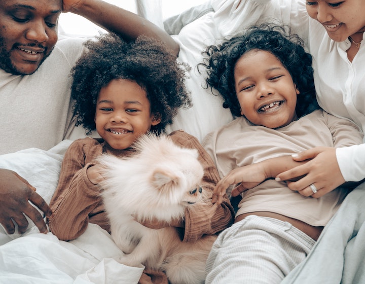 life lessons what pets can teach us family life