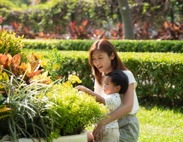 hong kong gold coast lawn