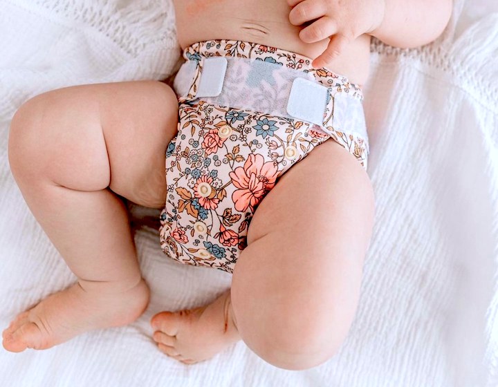 petit tippi diaper workshop