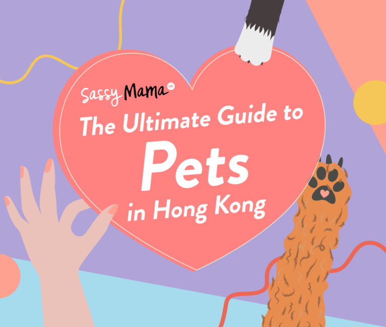 The Ultimate Guide to Pets in Hong Kong