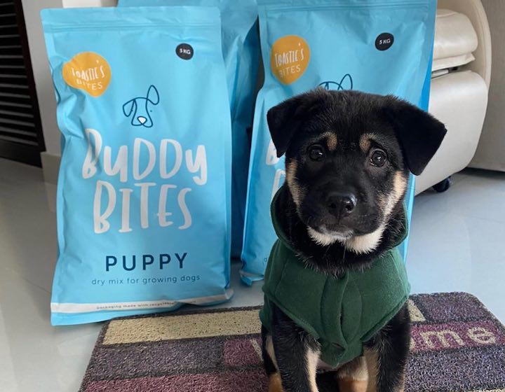 buddy bites dog food subscription