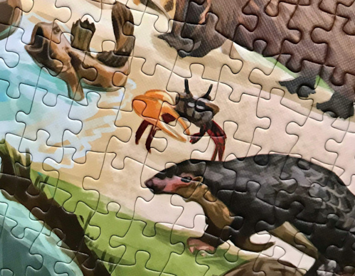 wildlife puzzle hong kong