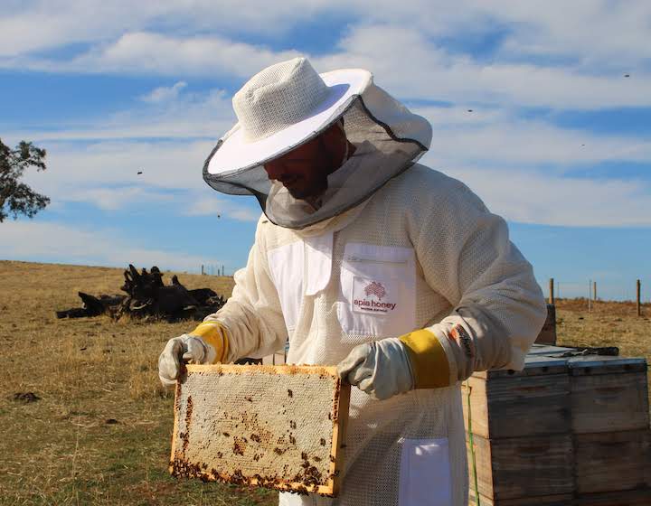 Apia Honey and natural skin care range