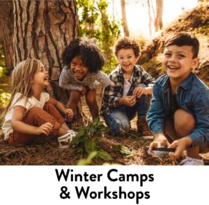 winter camps, holiday camps, christmas camps hong kong