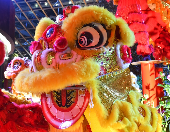 Chinese new year Hong Kong lion dance