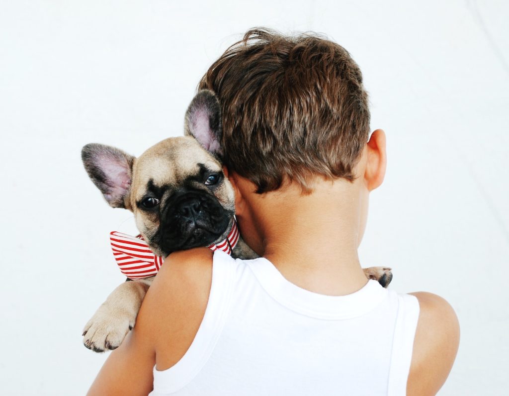 Pet Adoption Hong Kong boy holding a puppy