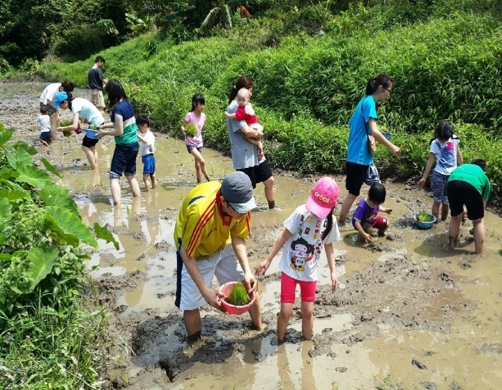 Tai O Guide Yi O Farm