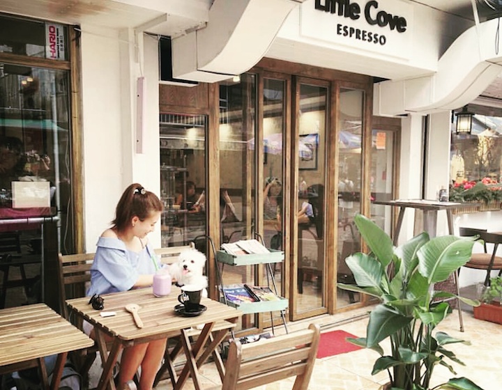Dog-Friendly Restaurants Hong Kong Little Cove Espresso