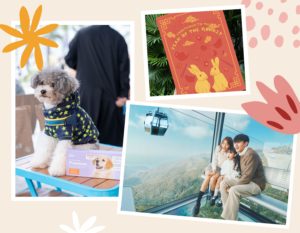 whats new hong kong december