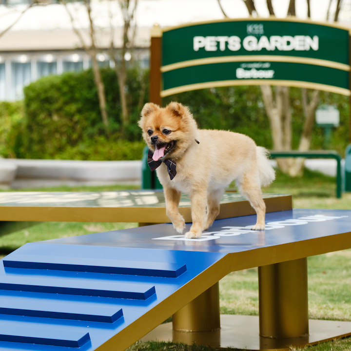 k11 pets garden whats new hong kong