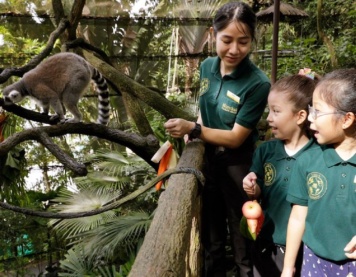 singapore zoo travel