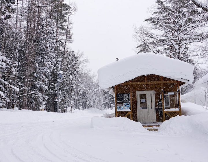 Ski Resort Travel Family Life: Hakuba Valley