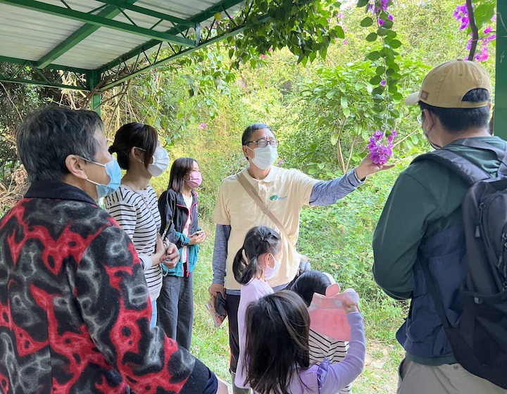 fung yuen butterfly reserve things to do in hong kong with kids