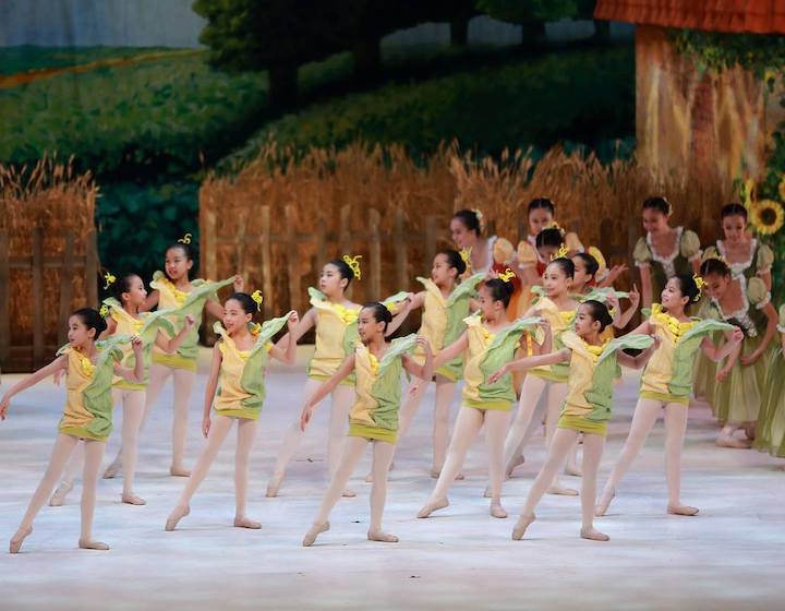 Dancing Classes Hong Kong Learn: Jean Wong School Of Ballet