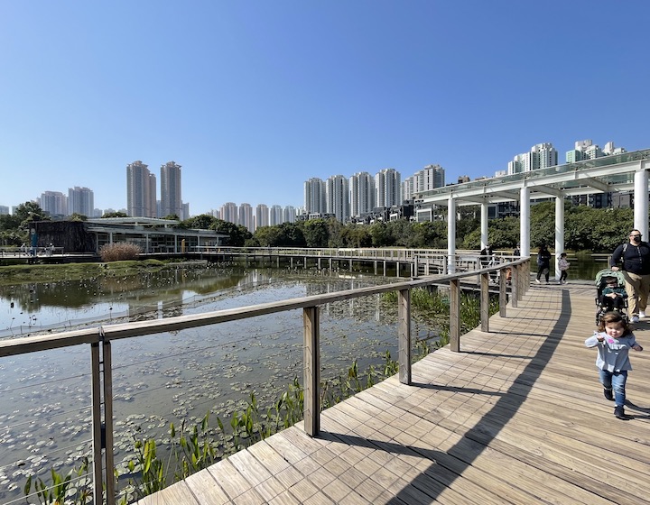 hong kong wetland park boardwalk