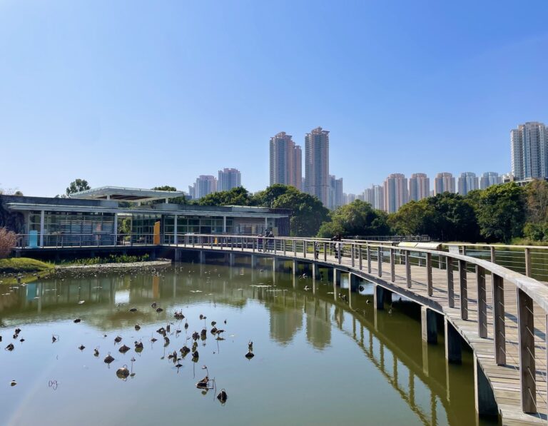 hong kong wetland park hero