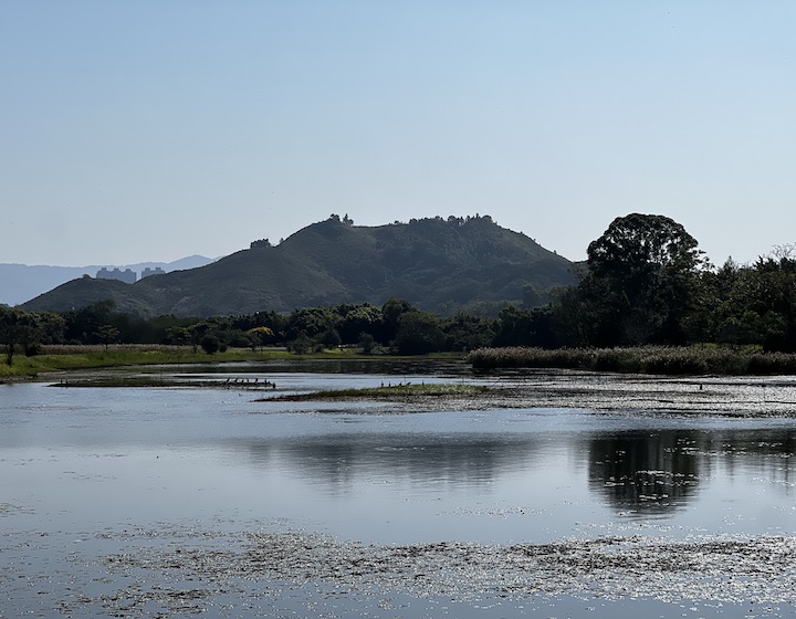 hong kong wetland park lagoon