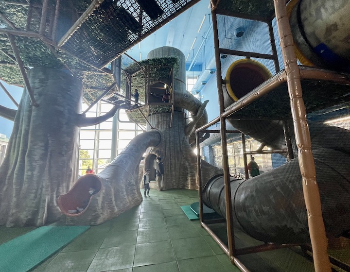 hong kong wetland park indoor playroom