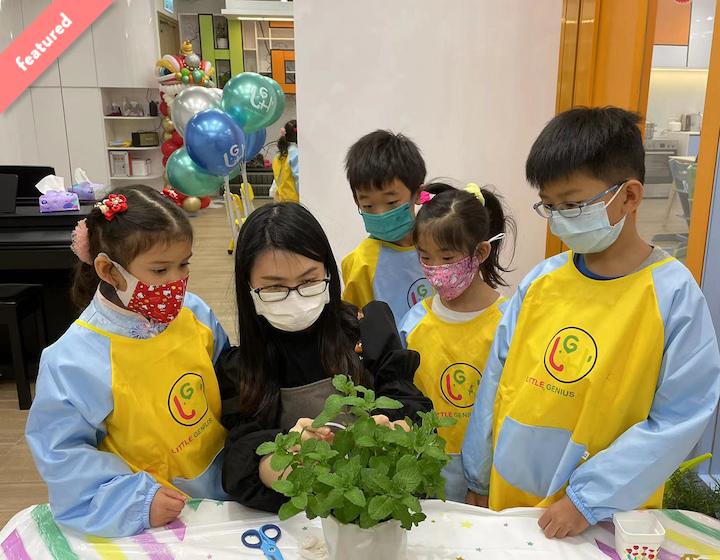 winter camps holiday camps hong kong little genius house