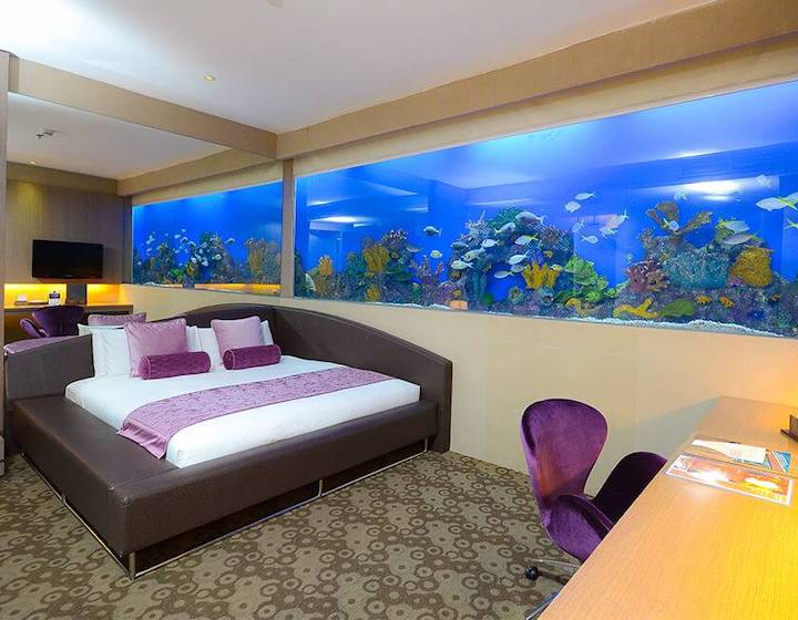 manila hotel ocean park aquarium philippines travel