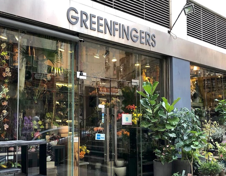 Plant Nursery Hong Kong Indoor Plants Home: Greenfingers