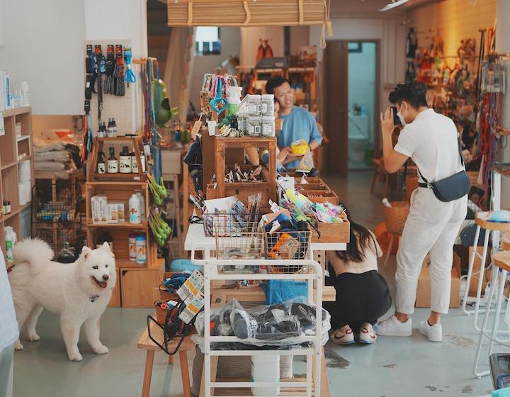 Pet Shops Pet Food Pet Supply StoresHong Kong: Pawtners