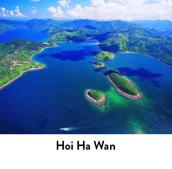 hoi ha wan