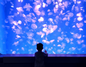 Indoor Activities with Kids on a Rainy Day