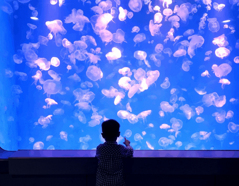 Indoor Activities with Kids on a Rainy Day
