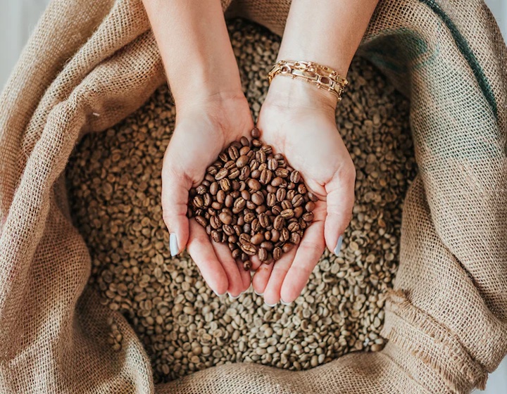 cowbird coffee roasters coffee bean coffee roaster arabica coffee coffee beans hong kong green coffee bean coffee near me 