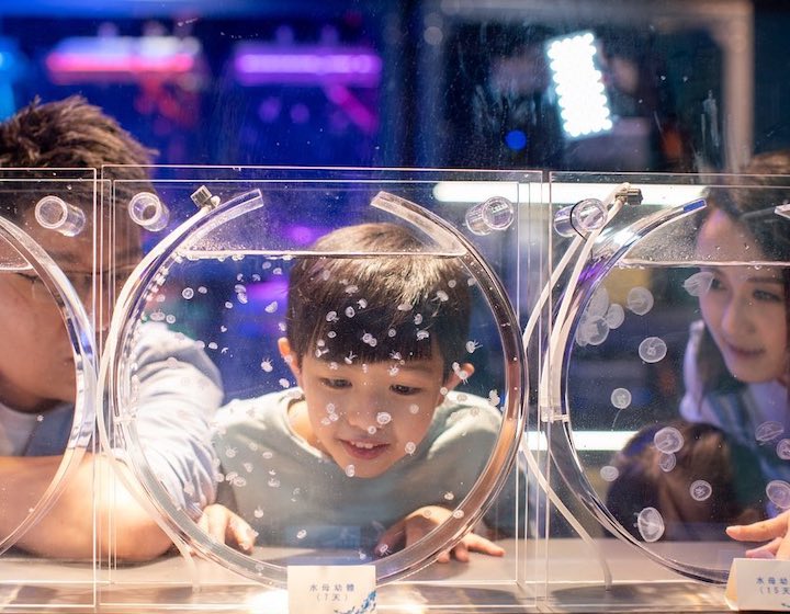 cube o discovery park indoor activities hong kong rainy day raining 