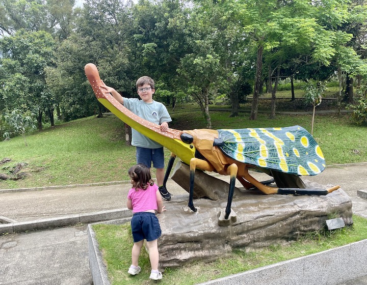 things to do in hong kong with kids lions park