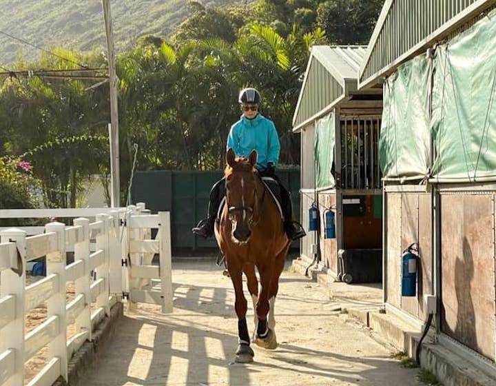 Horse Riding Schools Hong Kong Clear Water Bay