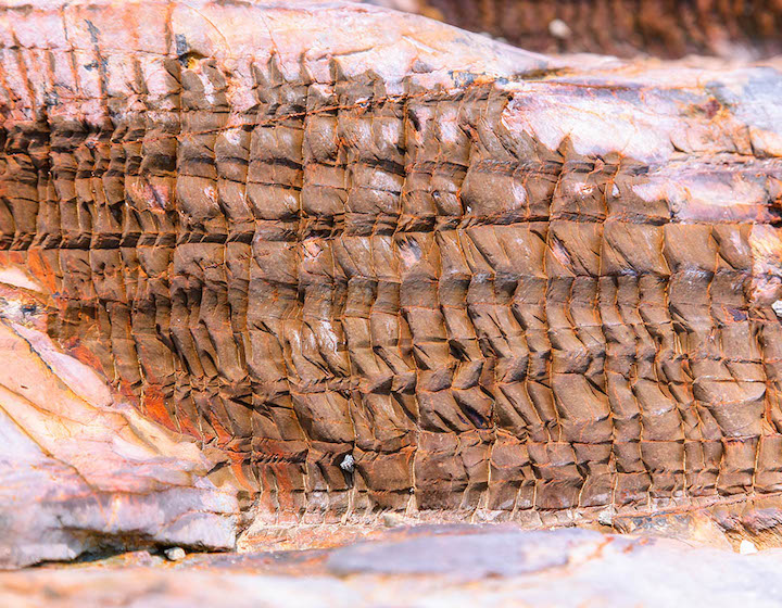 ma shi chau unesco global geopark hong kong