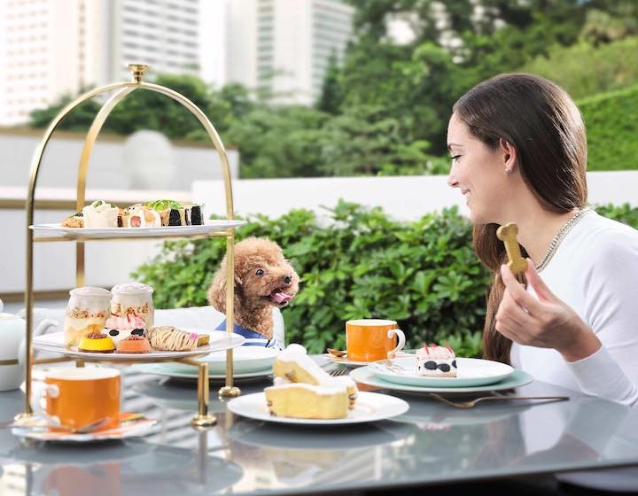 Pet-Friendly Hotels Hong Kong The Murray