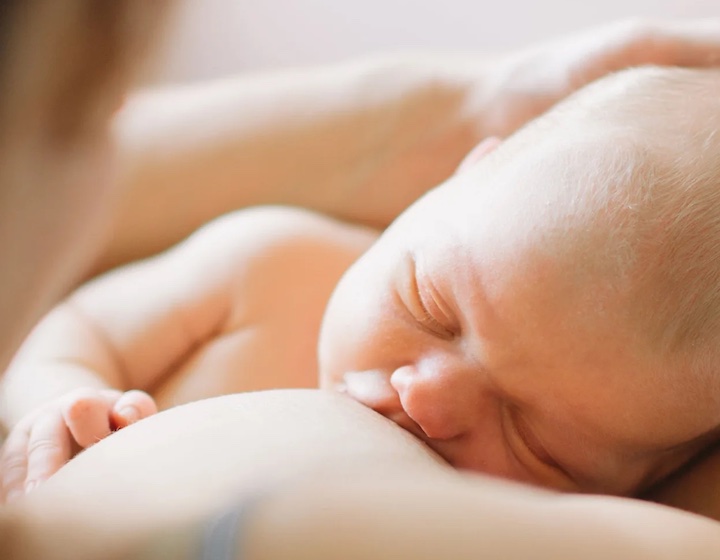 the family zone lactation consultants hong kong breastfeeding hong kong