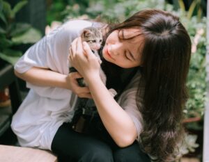 Dog Adoption Cat Adoption Hong Kong Animal Shelter NGO