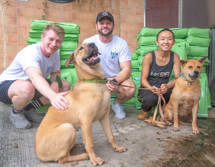 Where To Volunteer Hong Kong NGOs Charity Community Service: HK Dog Rescue