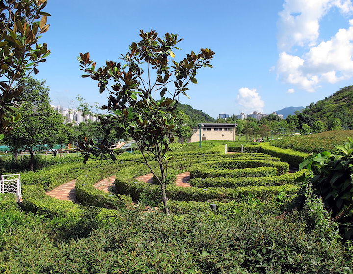 Jordan Valley Park Hong Kong Things To Do With Kids Whats On Maze