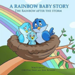sex education a rainbow baby story
