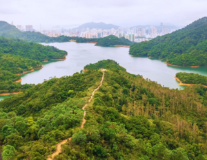Shing Mun Reservoir Hike Hong Kong