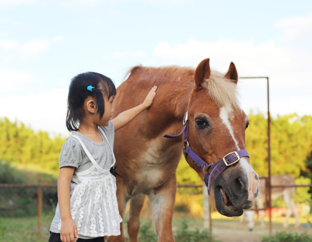 Where To See And Interact With Animals In Hong Kong