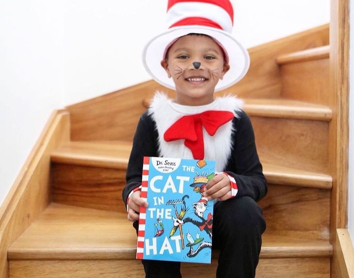 Cat in the hat world book day costume 